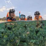 Tour Harian – Snorkeling Gili Trawangan, Meno, & Air