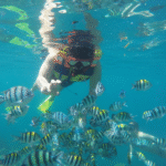 Tour Harian – Snorkeling di Gili Nanggu, Sudak, dan Kedis